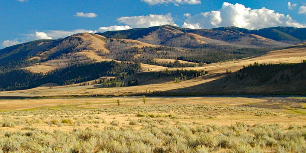 1931 Ford Model A – Part Five – Did I Come Here To&nbsp;Dio?