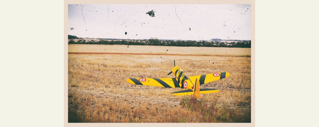 The Royal Ruritanian Army Air Force – Part Four – The Royal Trainees