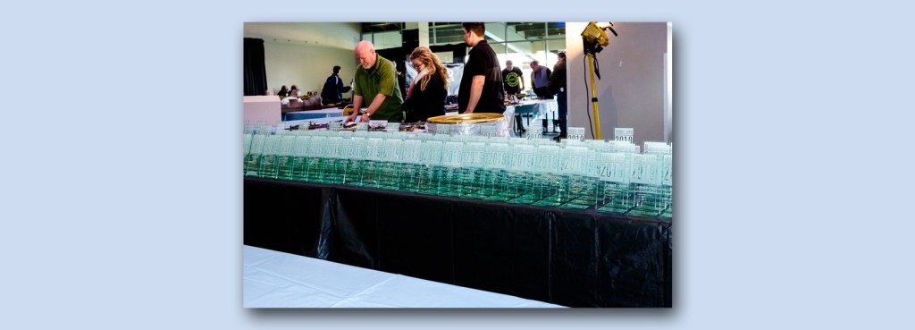 Satisfying The Judges