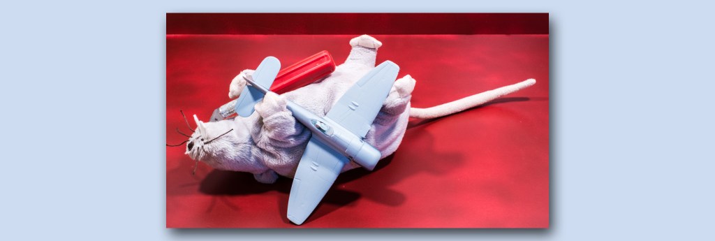 Reading The Other Weblog&nbsp;Columns