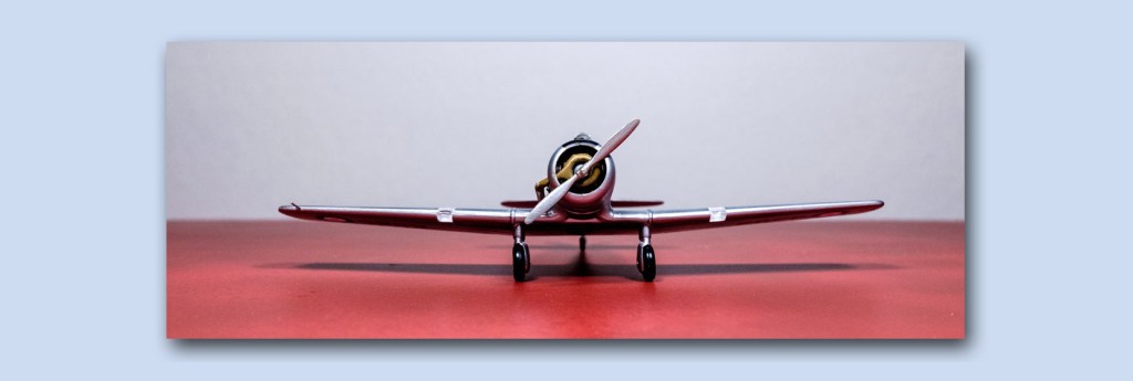 North American Yale – Part Four – Not All Birds Are Yellow