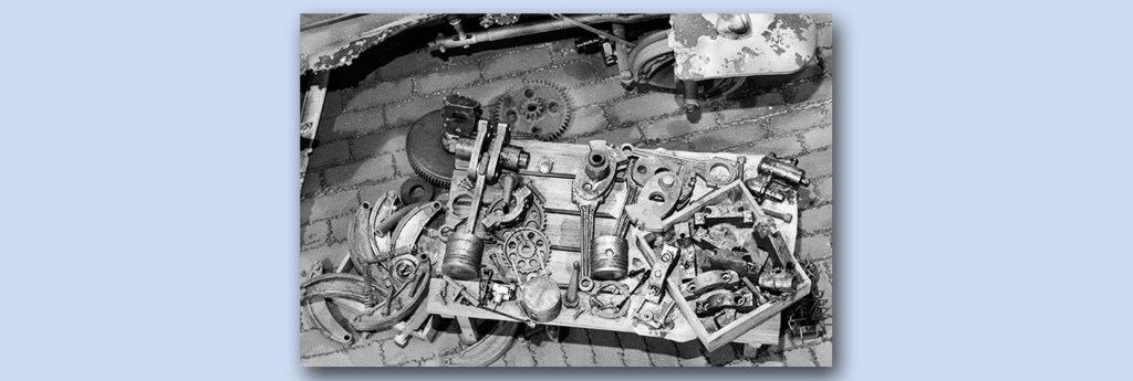 The Newbie – Part Two – All The&nbsp;Choices!