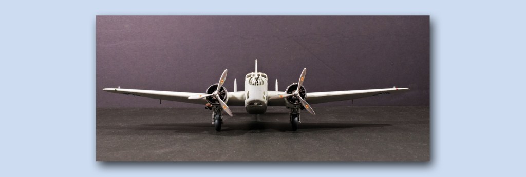 Fiat BR.20 – Part Four – The One And&nbsp;Only