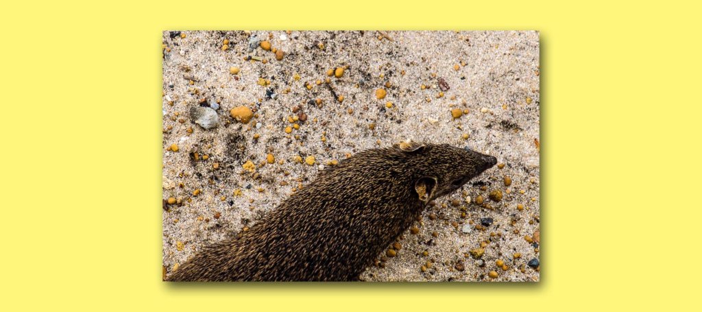 How Lousy It Really&nbsp;Was