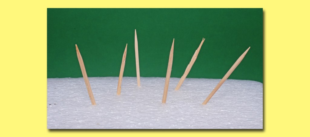 Drivin’ Miss Crazy