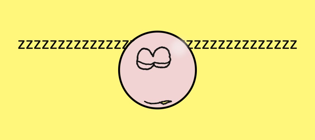 The Political Model&nbsp;Kit