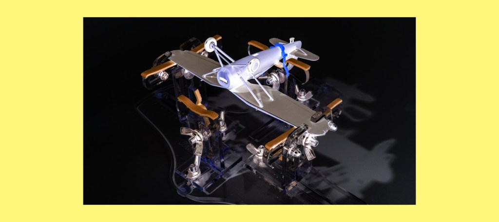 The Freedom To&nbsp;Explore