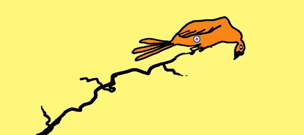 How Does A Hobby Fall Upon Its&nbsp;Prey?